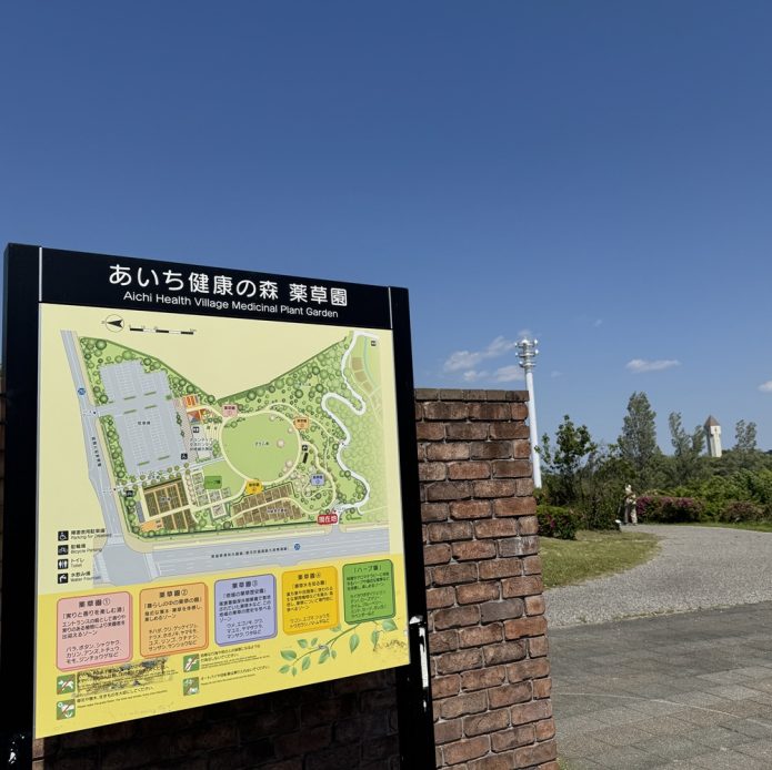 トップジミーのブログ画像