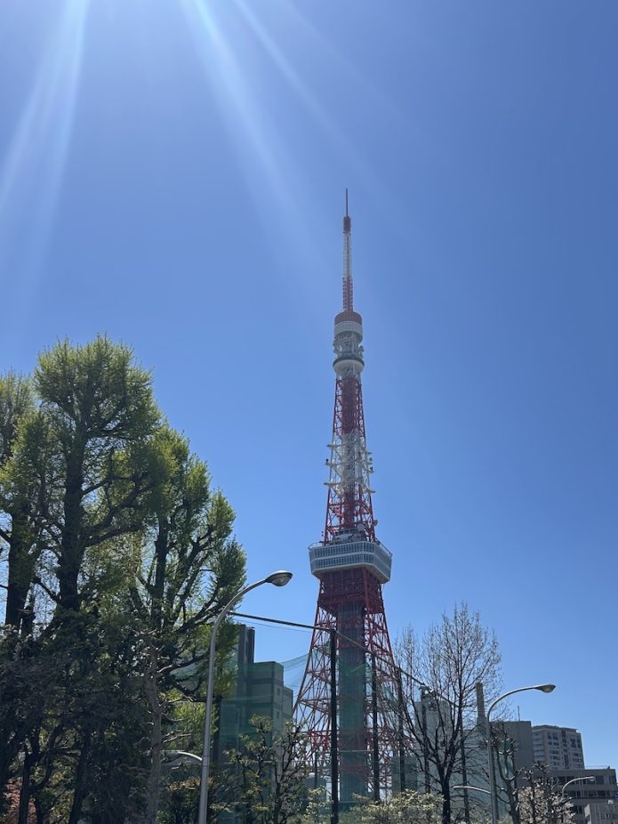 トップジミーのブログ画像